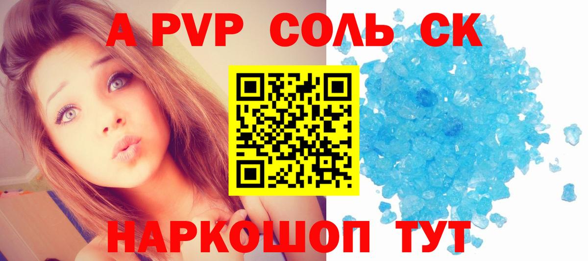 Alfa_PVP СК Королёв