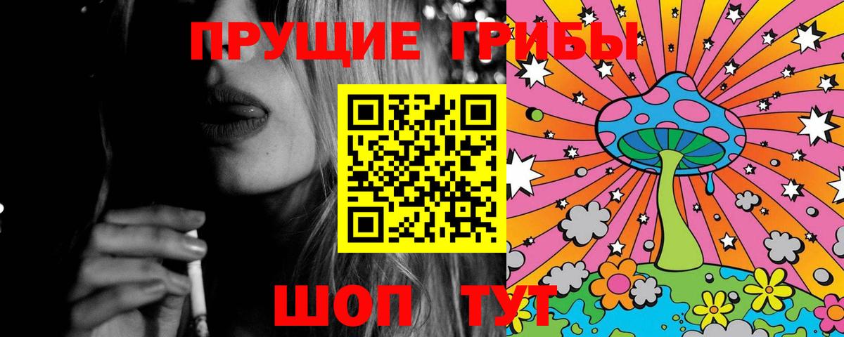 Псилоцибиновые грибы MAGIC MUSHROOMS  Вход с VPN  Королёв 